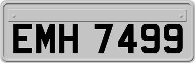 EMH7499