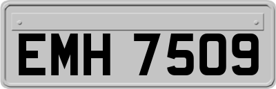 EMH7509