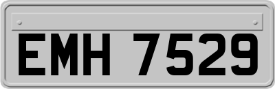 EMH7529