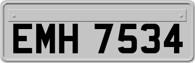 EMH7534