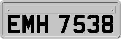 EMH7538