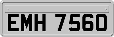 EMH7560