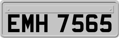 EMH7565