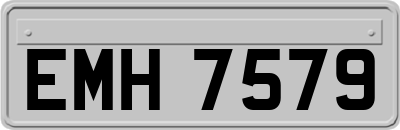 EMH7579