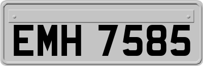 EMH7585