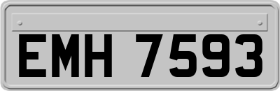 EMH7593