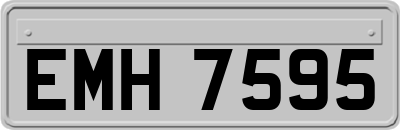 EMH7595