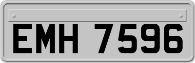 EMH7596