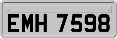 EMH7598