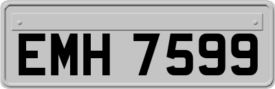 EMH7599