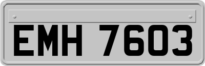 EMH7603