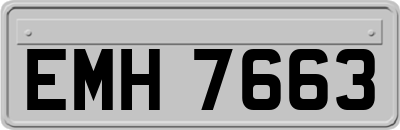 EMH7663