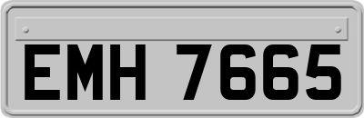 EMH7665