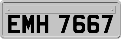 EMH7667