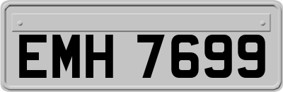 EMH7699