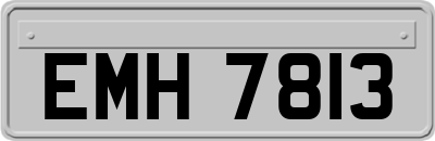 EMH7813