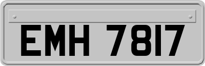 EMH7817