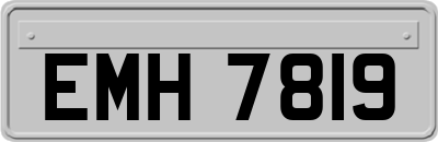 EMH7819