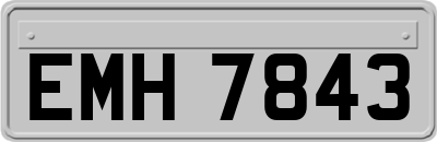 EMH7843