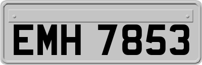 EMH7853