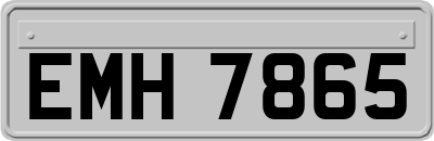 EMH7865