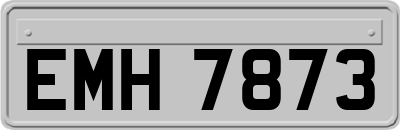 EMH7873