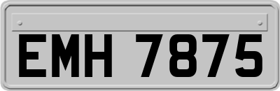 EMH7875