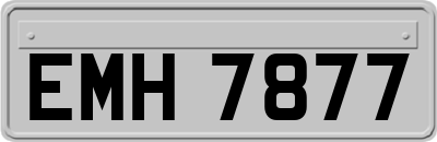 EMH7877