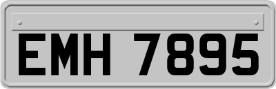 EMH7895