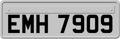 EMH7909