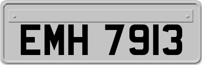 EMH7913