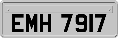 EMH7917