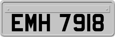 EMH7918