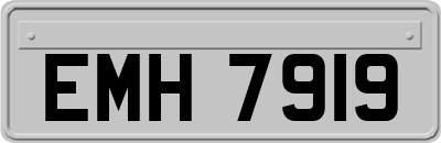 EMH7919