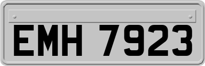EMH7923