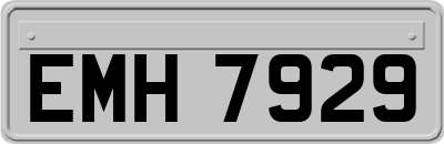 EMH7929