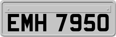 EMH7950