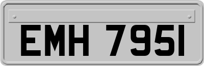 EMH7951