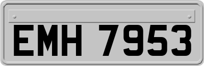 EMH7953