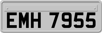 EMH7955