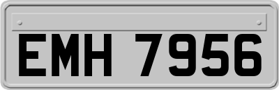 EMH7956