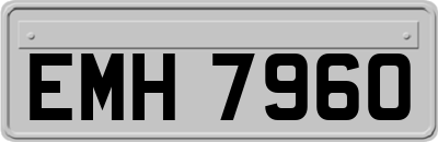 EMH7960