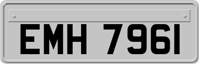 EMH7961