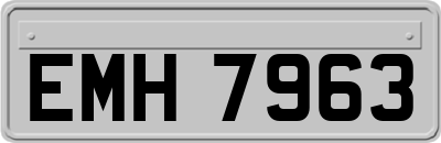 EMH7963