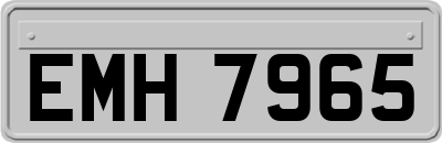 EMH7965