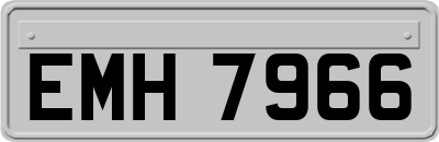 EMH7966