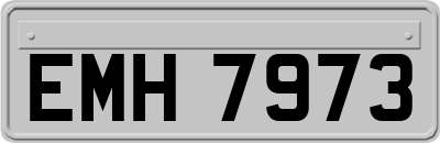 EMH7973