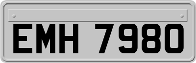 EMH7980