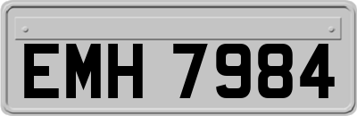 EMH7984
