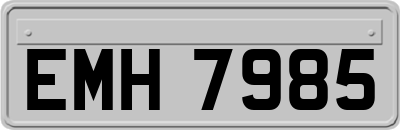EMH7985